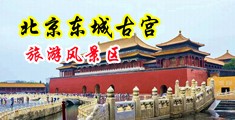 嗯啊插免费频中国北京-东城古宫旅游风景区